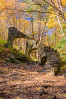 Madame Sherri Forest 10/19/19